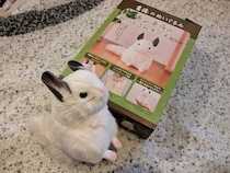 大人気！毎度即完売の吉徳チンチラのぬいぐるみが付録ポーチに！