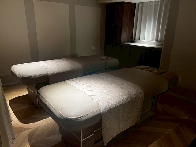 スパジャパネスク