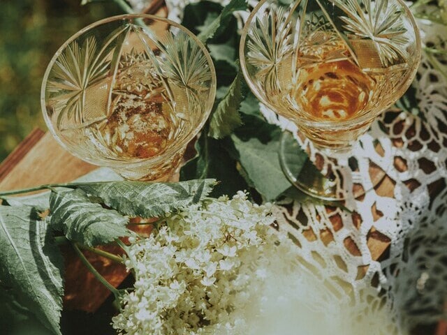 インフルエンザ対策にも！エルダーフラワーティーで新習慣