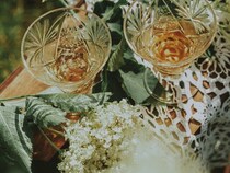 インフルエンザ対策にも！エルダーフラワーティーで新習慣