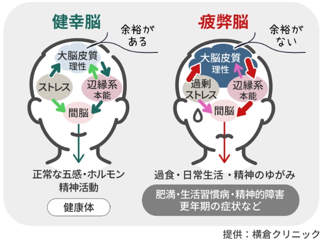 健幸脳・疲弊脳