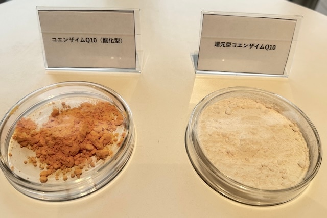 DRAWING HOUSE OF HIBIYA