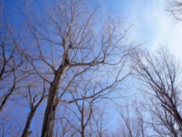 冬の気候イメージ