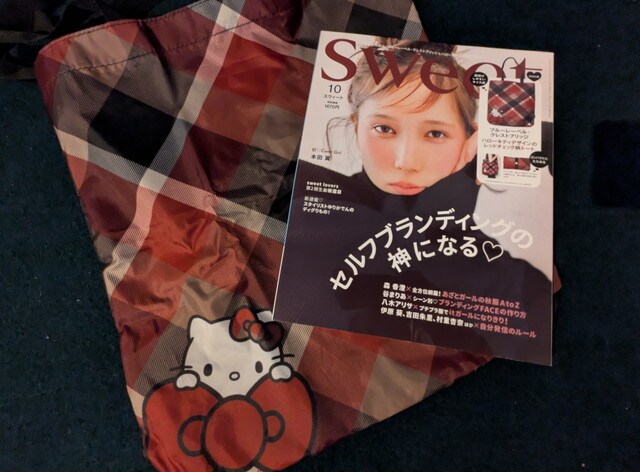 エコバッグのキティ柄アップ(大きなリボンデザイン)