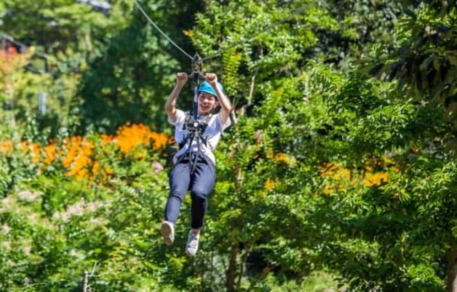 ザ ボタニカルリゾート リンネのアクティビティ・ジップライン