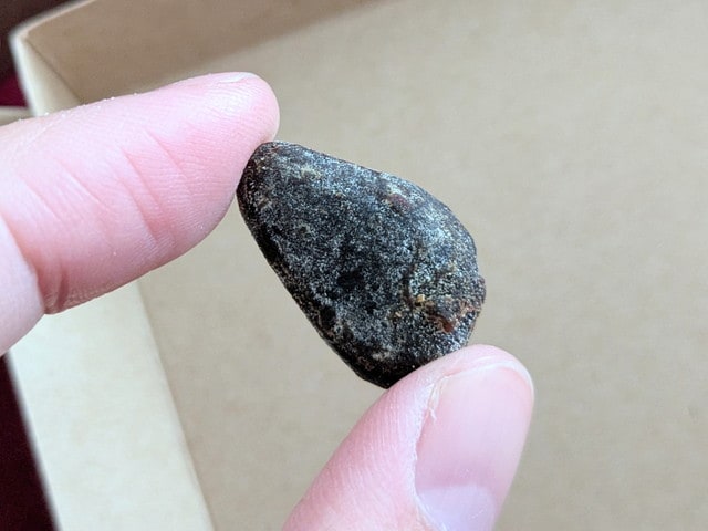 SHUKA「カカオ」（黒みのある一粒を指でつまんだアップ）