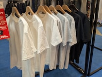 【ワークマン新作】女子も必見！優秀メンズTシャツをチェック