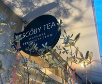 腸活・美容に♡白金発の生コンブチャ「SCOBY TEA（スコビーティー）」が気になる！