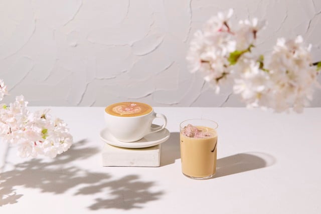 チェリーブロッサムラテ ホット＆アイス