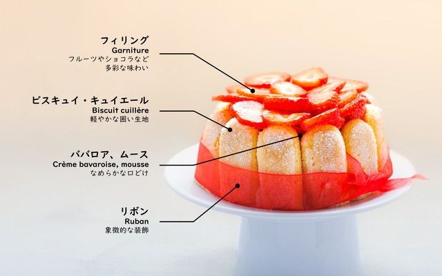 シャルロットの基本的な構図。ビスキュイ・キュイエール、ババロア・ムース、フィリング、リボンの解説