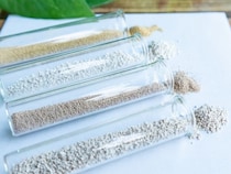 【ダイエットと漢方薬】購買なんと4倍に！？人気のワケを美容薬剤師に聞く