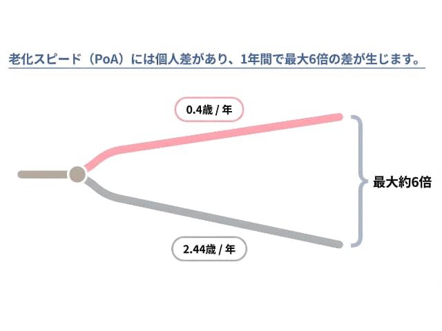 あんしん漢方2