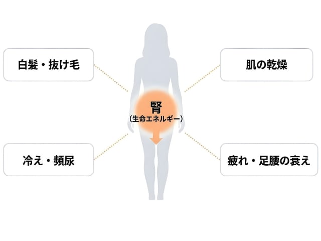 あんしん漢方5