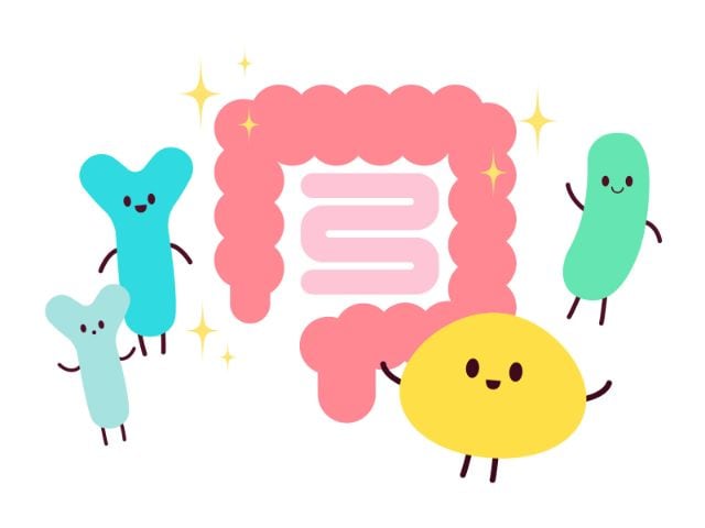 腸内
