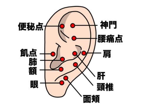 耳つぼ