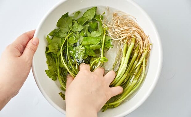 せりを洗っている写真