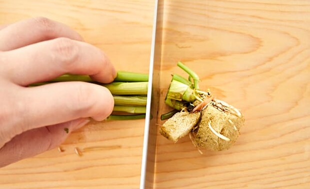 せりの根元を切り落としている写真