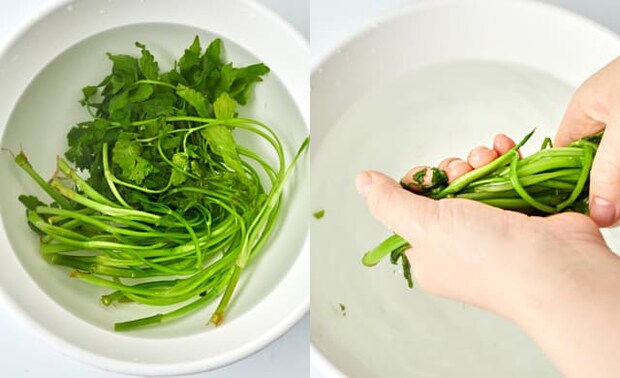 せりの水気を絞っている写真