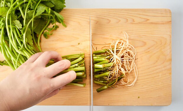 せりの根元を切り落としている写真