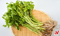 【せりレシピ】鍋やおひたしなどのおすすめの食べ方や下処理を解説