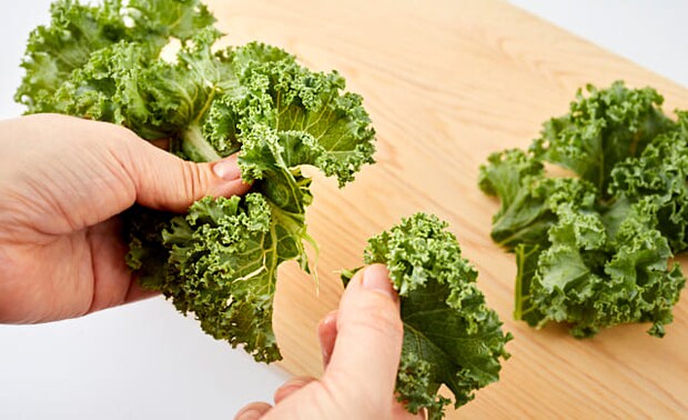 ケールをちぎっている写真