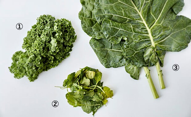 3種類のケールの写真