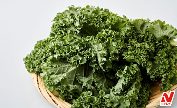 【ケールの食べ方】野菜ソムリエが紹介!苦みのを抑え方と保存法
