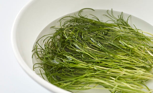 おかひじきを水にさらしている写真