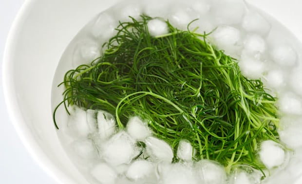 おかひじきを氷水につけている写真