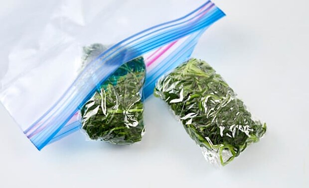 おかひじきを冷凍用保存袋に入れている写真