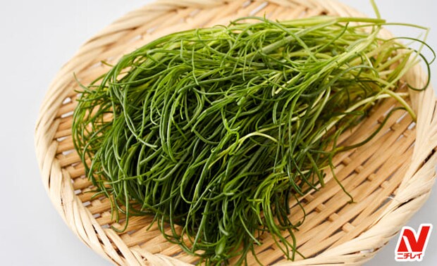 【おかひじきの人気レシピ】おいしい食べ方3選！茹で時間や保存方法