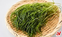 【おかひじきの人気レシピ】おいしい食べ方3選！茹で時間や保存方法