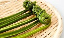 こごみの下処理とおいしい食べ方。アク抜き不要！水で洗うだけ