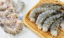 【エビの冷凍保存】下処理で臭み解消！塩水解凍テクも紹介！