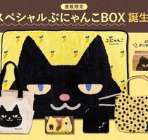 東京ばな奈の限定『スペシャルぶにゃんこBOX』通販で登場！