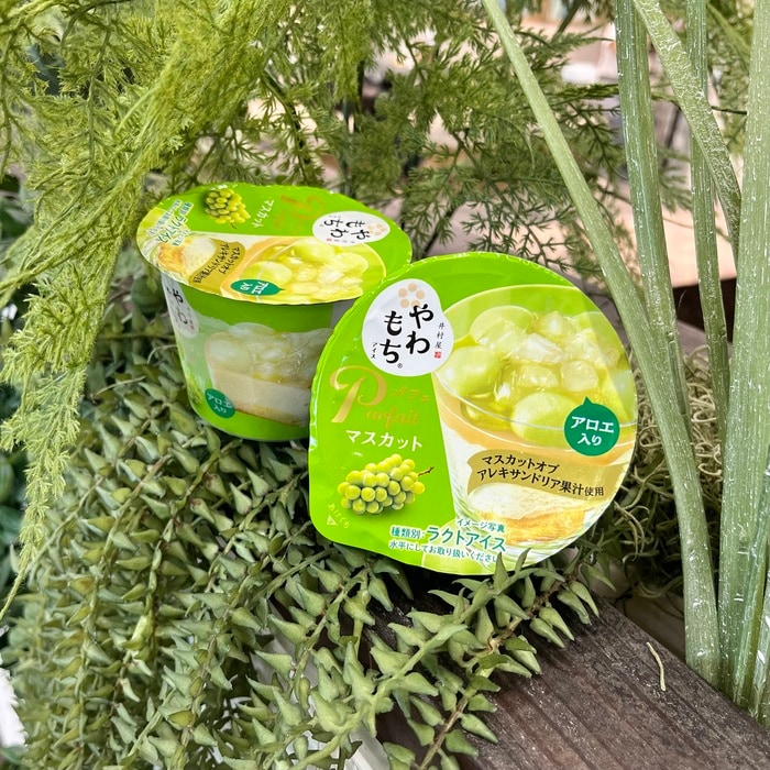 井村屋のやわもちアイス パフェ マスカット①
