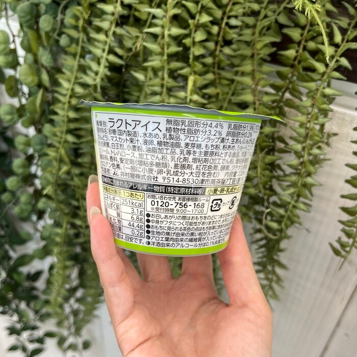 井村屋のやわもちアイス パフェ マスカット⑨