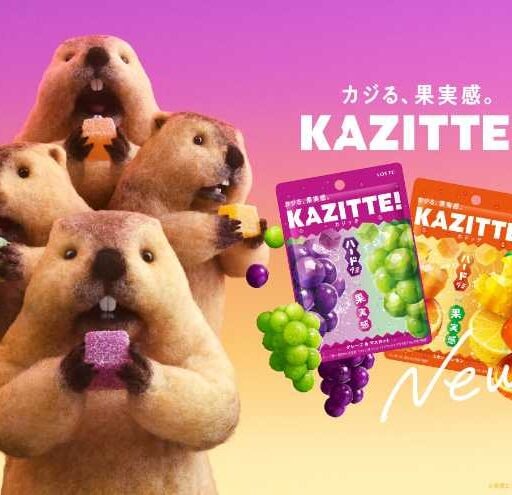 ロッテの新グミ「KAZITTE!」登場！果実感引き立て製法で新しい食感