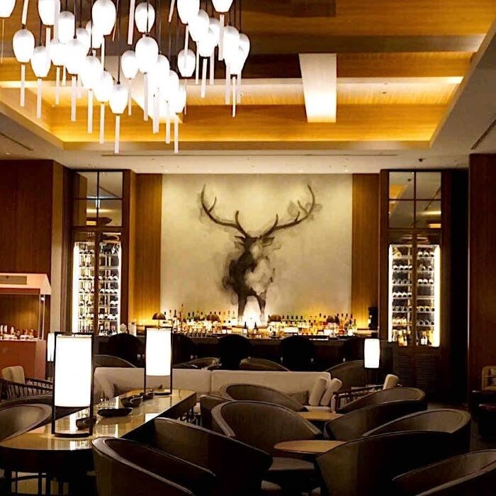 JWマリオット奈良バンパイア⑨