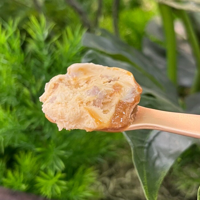 ハーゲンダッツのクランチアーモンドキャラメル⑥