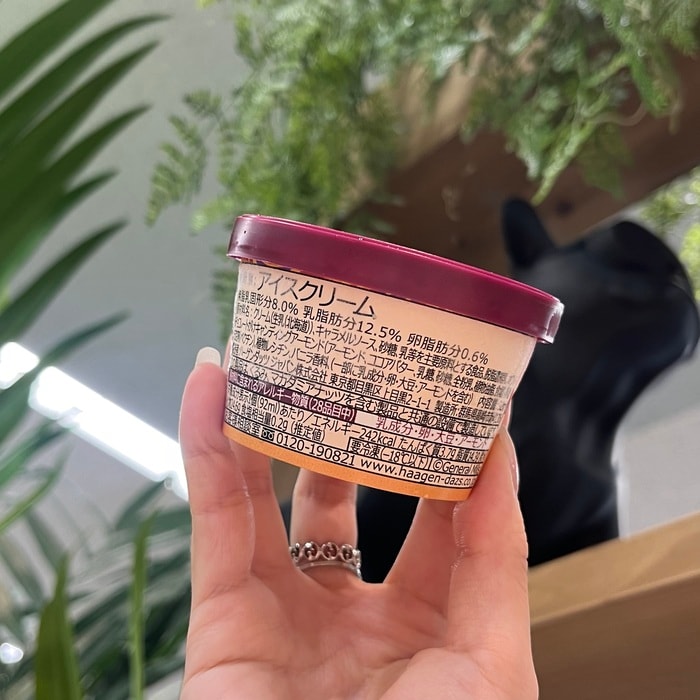 ハーゲンダッツのクランチアーモンドキャラメル⑨