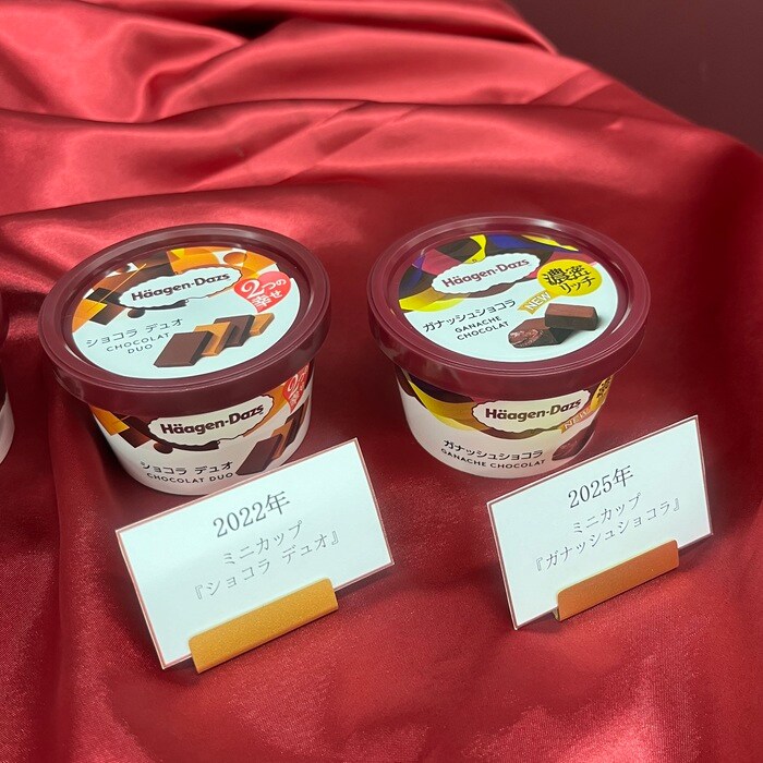 ハーゲンダッツのガナッシュショコラ⑤