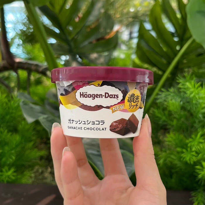 ハーゲンダッツのガナッシュショコラ⑥