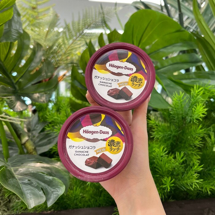 ハーゲンダッツのガナッシュショコラ⑩