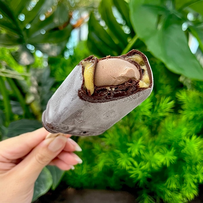 ハーゲンダッツのザッハトルテ④