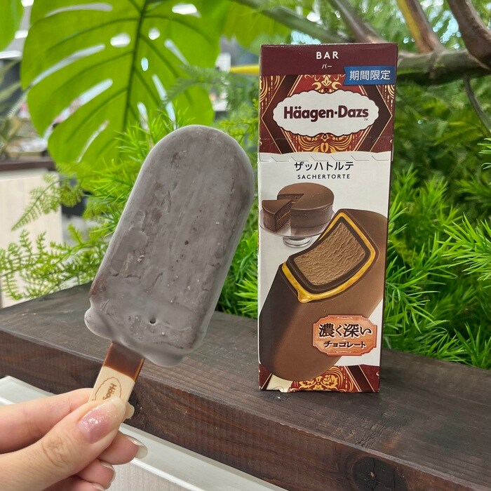 ハーゲンダッツのザッハトルテ③