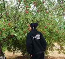 【ニューエラ】秋冬を彩るファー＆フェルト♡大人可愛いヘッドウェアコレクション登場