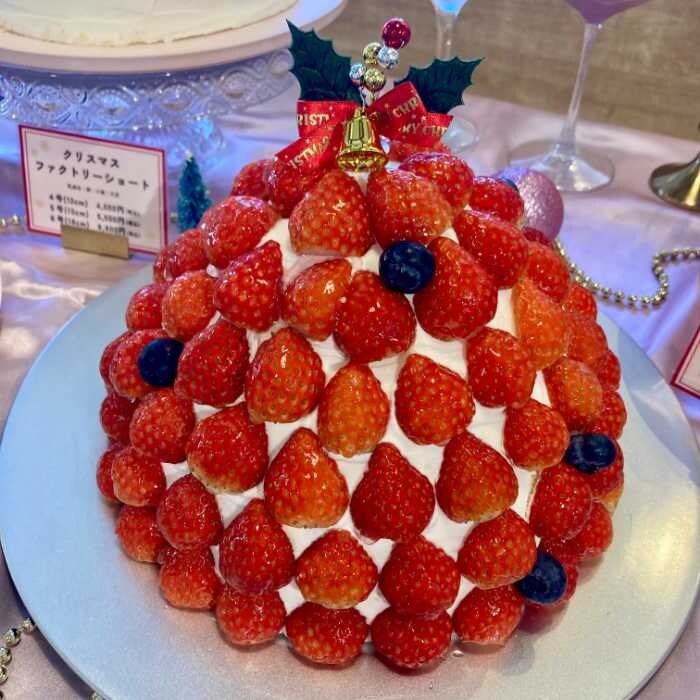 いちごfactoryのプレミアムファクトリーツリーショート