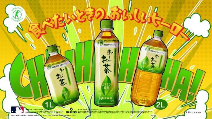 お～いお茶カテキン緑茶の詳細③