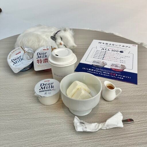 【東京】こたつでアイスが楽しめる”何も足さない？カフェ”が期間限定でオープン♪